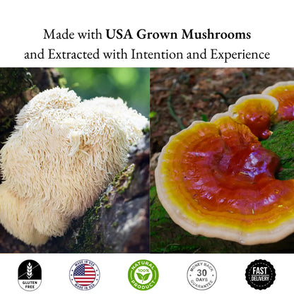 Two types of mushrooms with text about USA grown mushrooms and extracted with intention and experience, along with certification logos at the bottom.