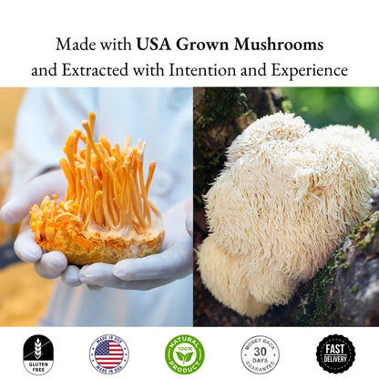 Two images of mushrooms held by a gloved hand and a close-up of a white mushroom on a natural background, with text about USA-grown mushrooms and extracted with intention and experience.