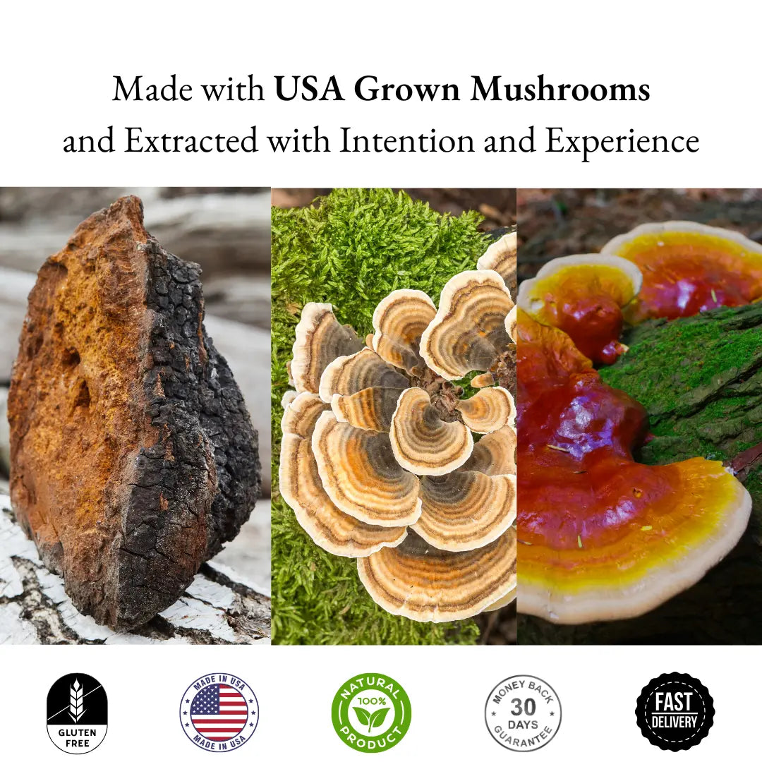 Three images of different mushrooms with text about USA-grown mushrooms and extracted with intention and experience, along with certification logos at the bottom.