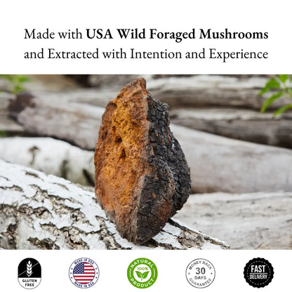Mushroom on a log with text about USA wild foraged mushrooms and product features.