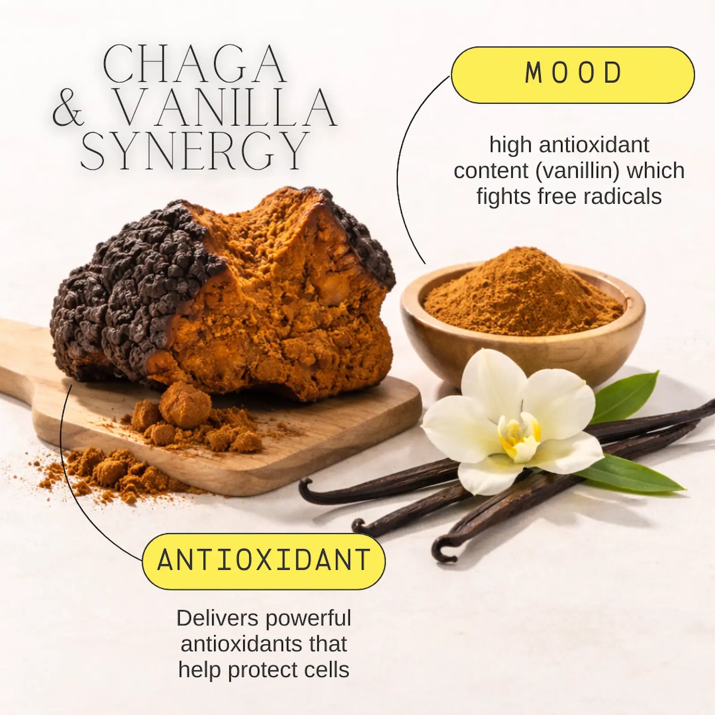 Chaga mushroom, vanilla beans, and vanilla flower with text highlighting 'Chaga & Vanilla Synergy' on a white background.