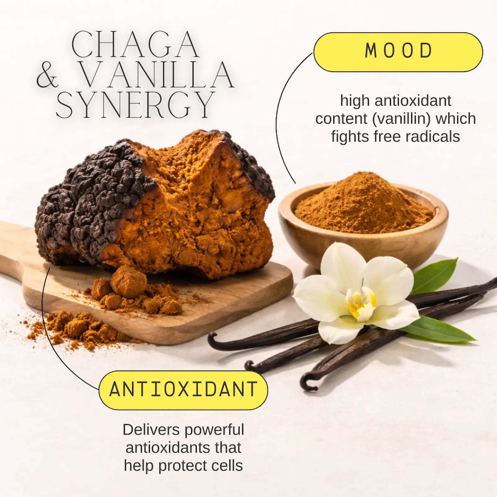 Chaga mushroom, vanilla beans, and vanilla flower with text highlighting 'Chaga & Vanilla Synergy' on a white background.