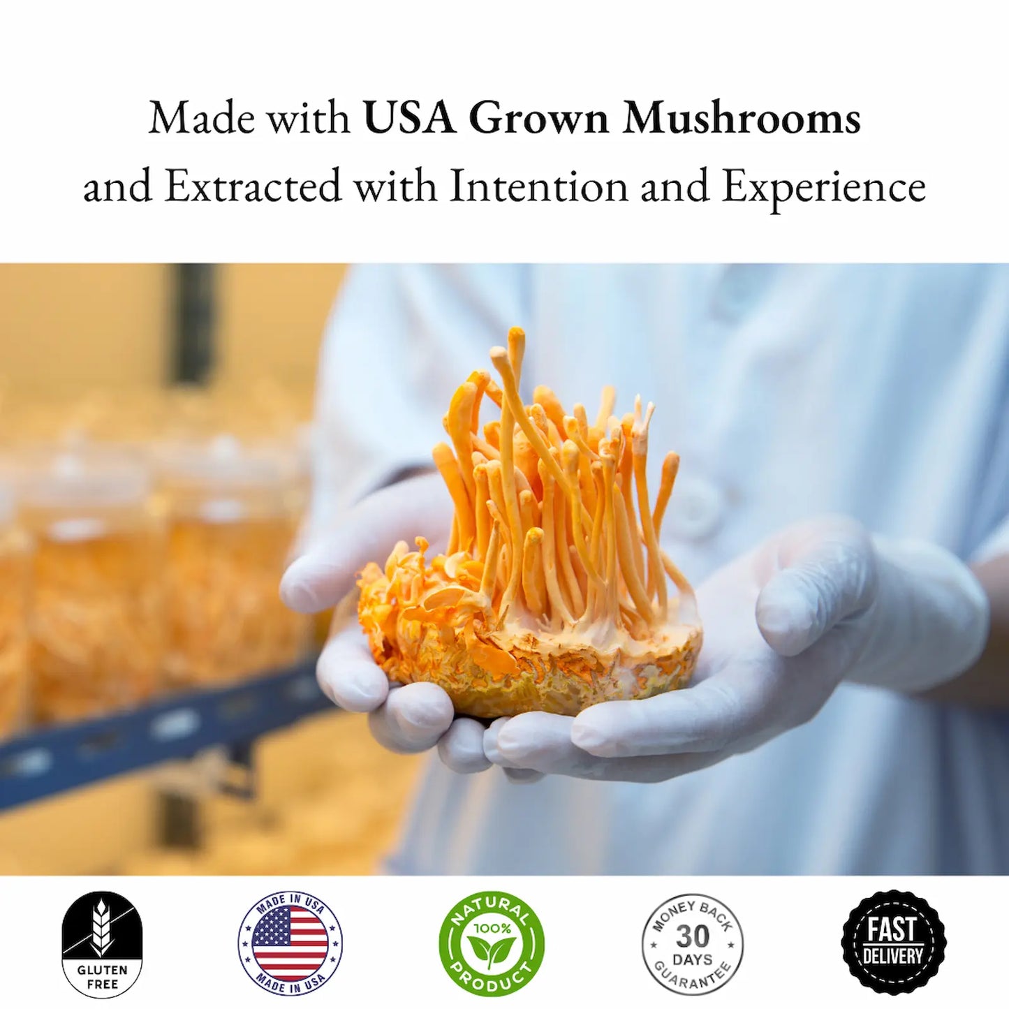 Person holding a large mushroom with text about USA-grown mushrooms and extracted with intention.