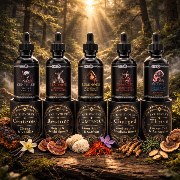Elemental ritual mushroom tincture bundle Eye Evolve complete health benefits with functional mushrooms