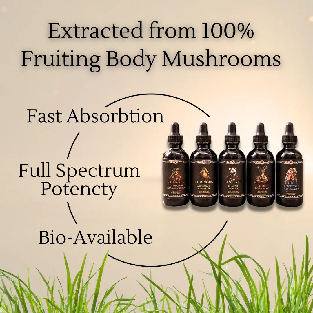 Five bottles of a mushroom extract product with text highlighting its properties on a beige background.