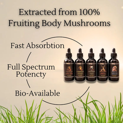 Five bottles of a mushroom extract product with text highlighting its properties on a beige background.