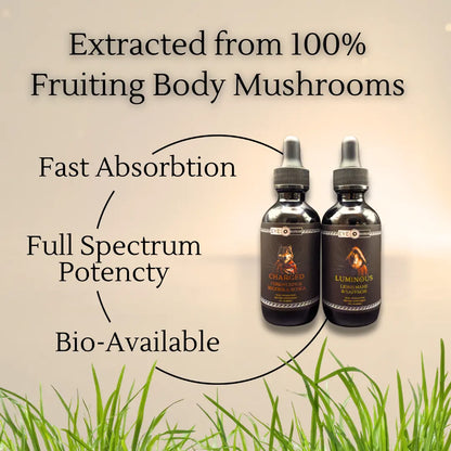 Two bottles of a mushroom extract product with text highlighting its properties on a light background.