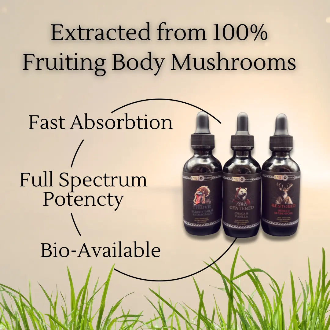 Three black bottles with labels on a beige background with text about mushroom products.