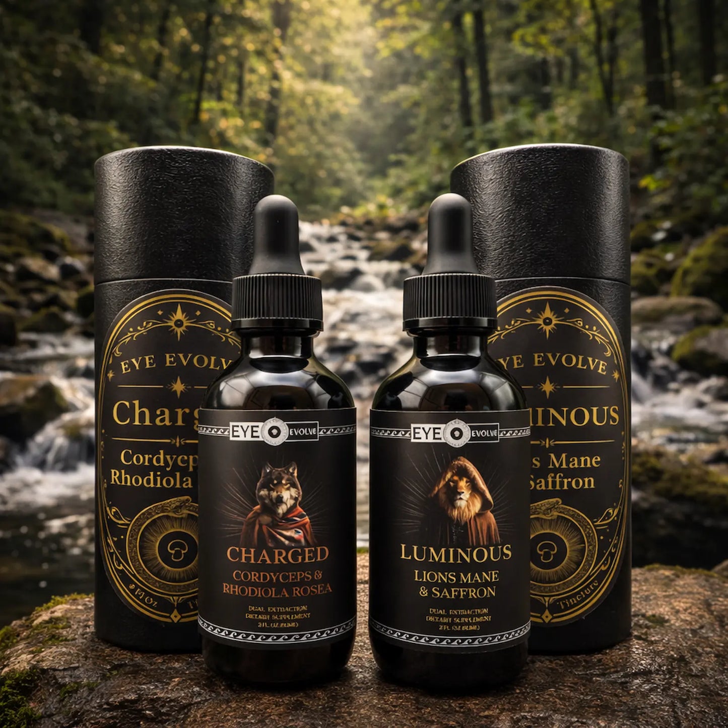 Momentum ritual set mushroom tincture bundle by Eye Evolve