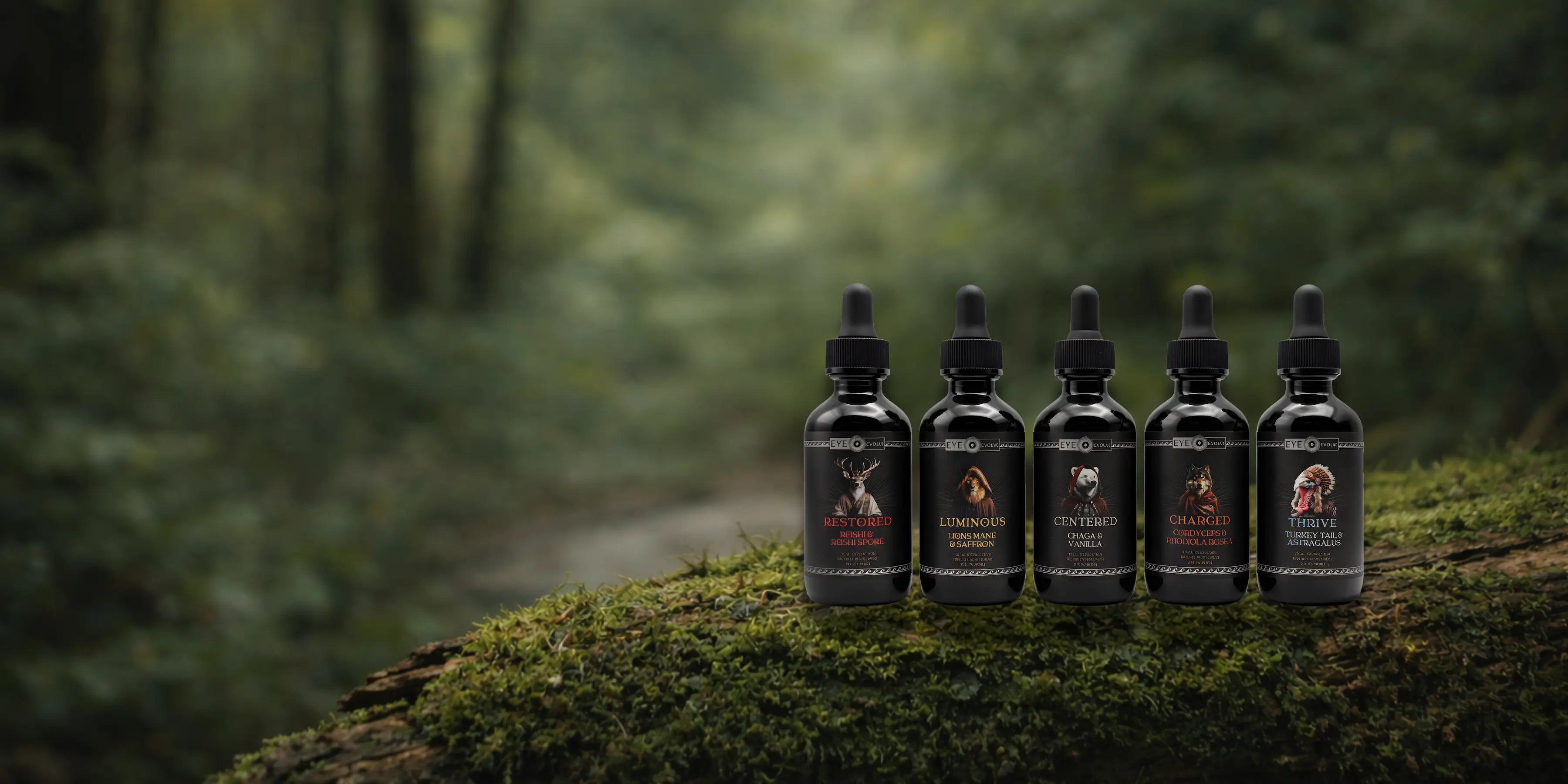 eye evolve's Complete lions mane, turkey tail, cordyceps, chaga and reishi functional mushrooms tinctures 