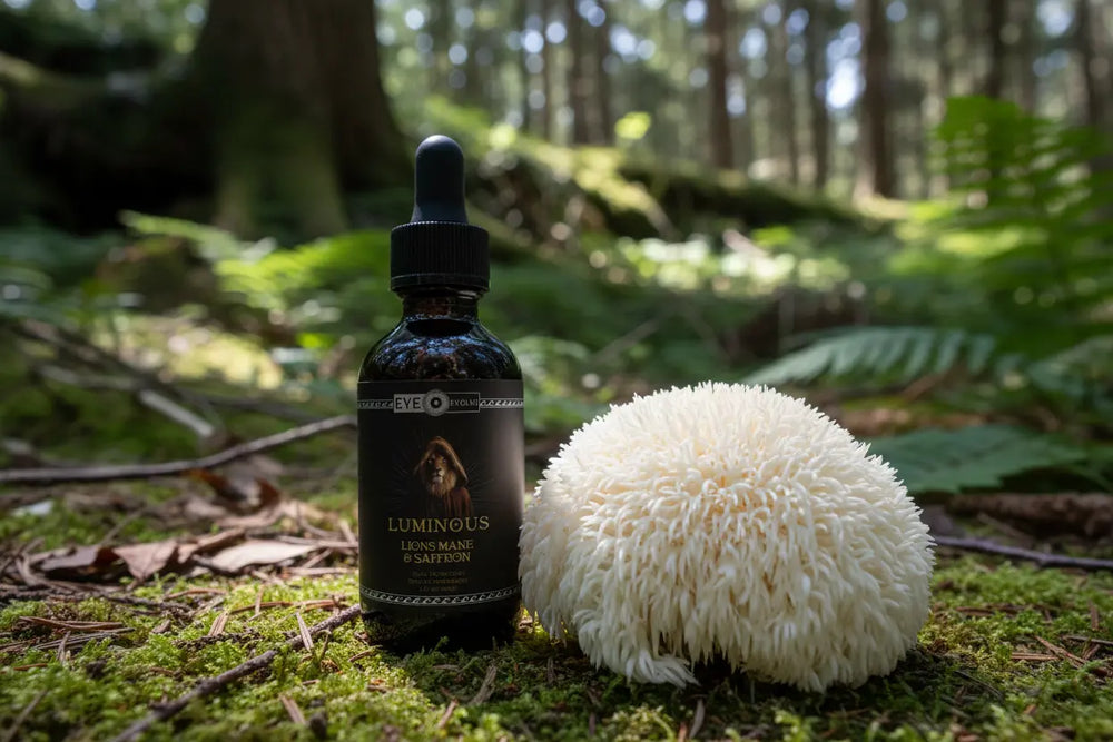 Lions mane tincture bottle with a large white mushroom in a forest setting