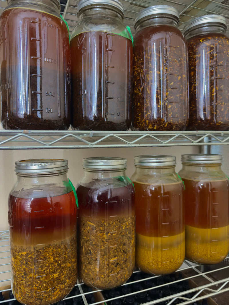 mason jar undergoing eye evolve mushroom extraction process