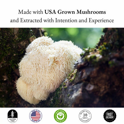Mushroom growing on a tree trunk with text about USA-grown mushrooms and extraction methods.