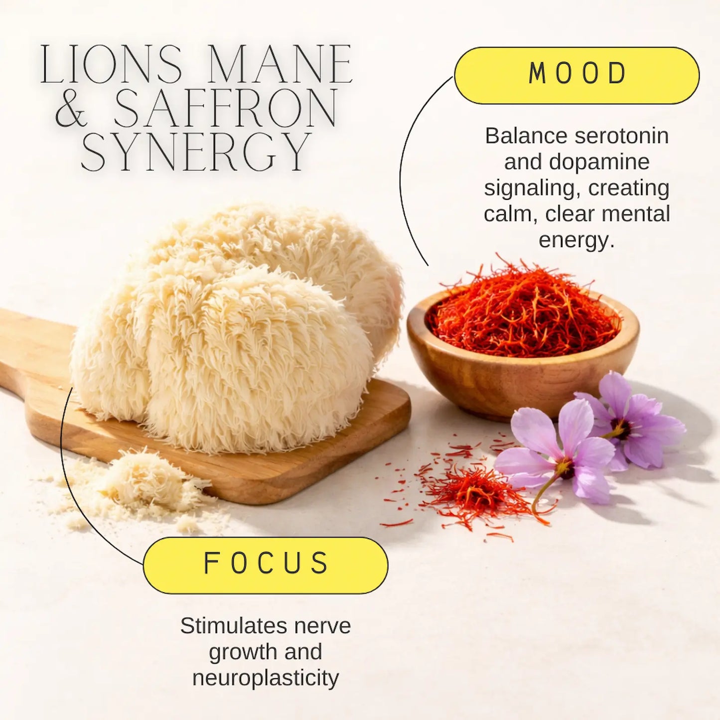 Lions Mane and Saffron synergy with text on a white background