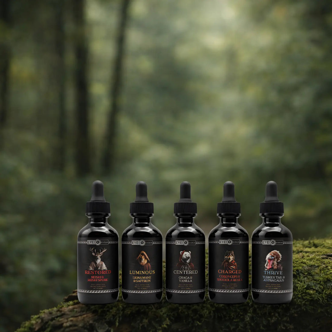 eye evolve's Complete lions mane, turkey tail, cordyceps, chaga and reishi functional mushrooms tinctures on forrest
