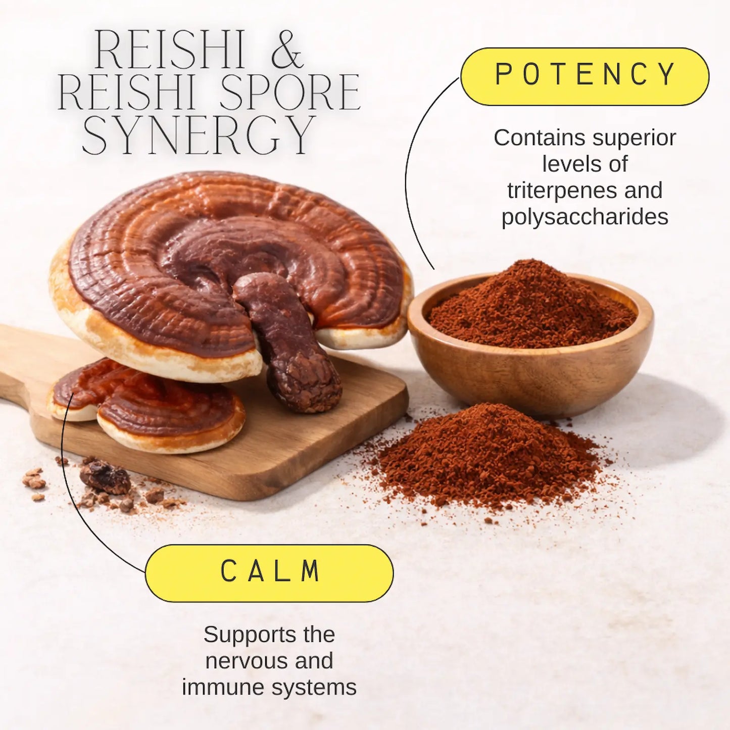 Reishi mushrooms and their powder on a wooden board with text about potency and calmness.
