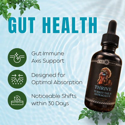 Bottle of Thrive turkey tail supplement with gut health benefits on a blue background