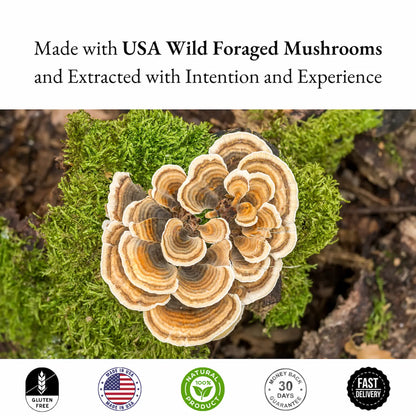 Close-up of a mushroom on green moss with text about USA wild foraged mushrooms.
