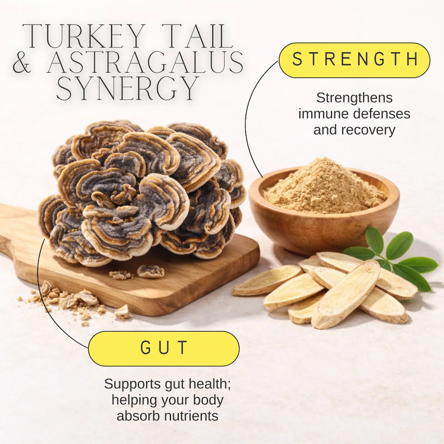 Turkey tail mushrooms, astragalus root, and powder on a wooden board with text highlighting benefits.