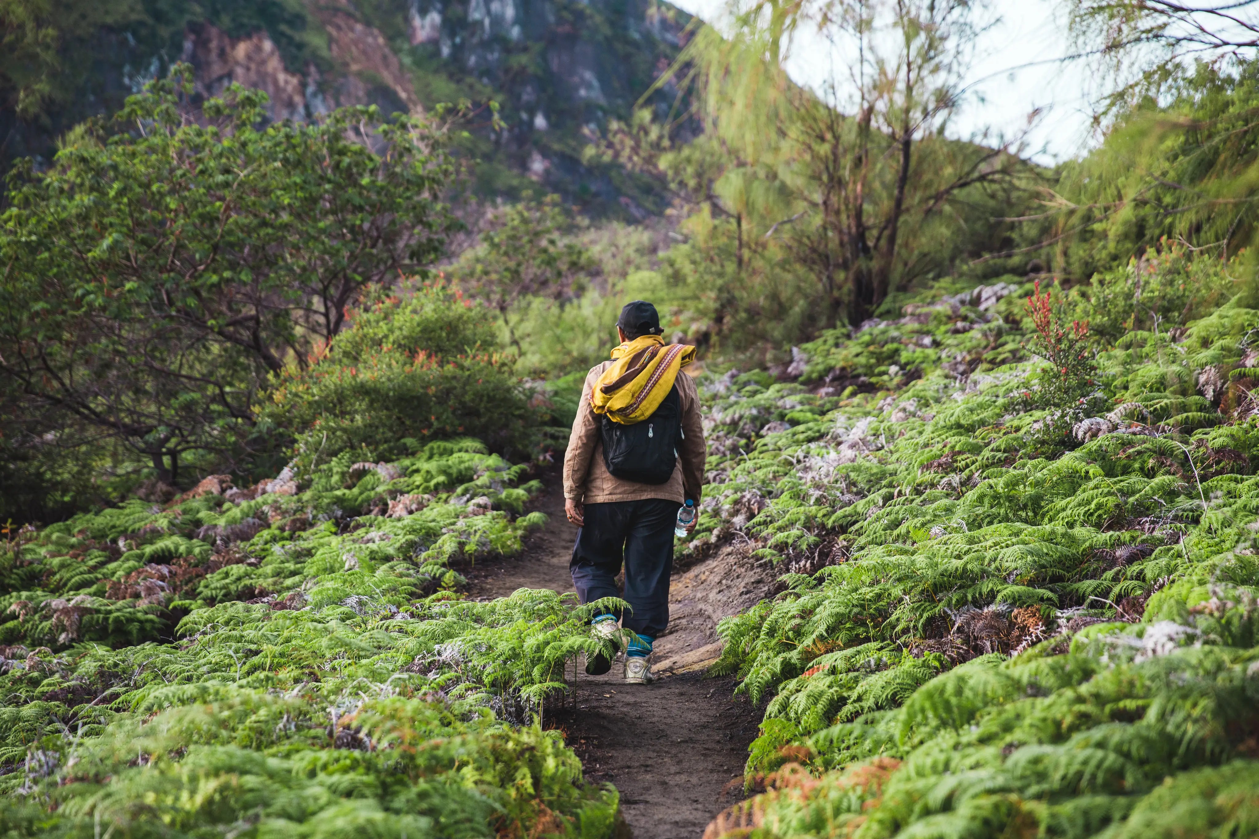 hiking-the-path-up